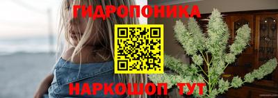 apvp Обнинск