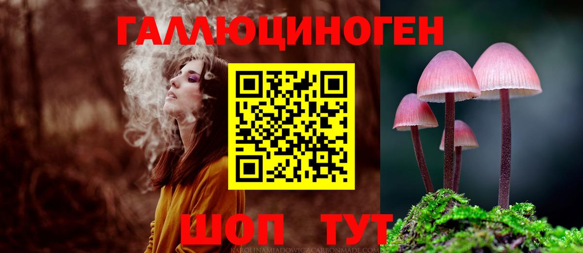 Тихорецк  Галлюциногенные грибы Magic Shrooms  Вход с VPN  где можно купить наркотик  Псилоцибиновые грибы Psilocybe 